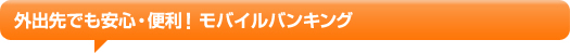 �O�o��ł����S�E�֗��I���o�C���o���L���O