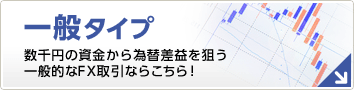 一般タイプ 数千円の資金から為替差益を狙う 一般的なFX取引ならこちら!