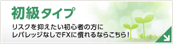 初級タイプ リスクを抑えたい初心者の方に レバレッジなしでFXに慣れるならこちら!