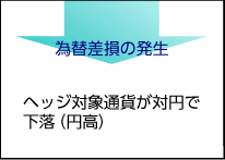 ヘッジ対象通貨が対円で下落(円高) 為替差損の発生