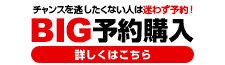 チャンスを逃したくない人は迷わず予約!BIG予約購入 詳しくはこちら
