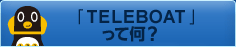 �uTELEBOAT�v���ĉ��H