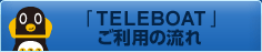 �uTELEBOAT�v�����p�̗���