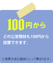 100�~����@�ǂ̌��c���Z���A100�~���瓊�[���\�ł��B