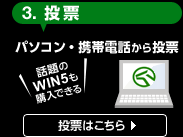 3.���[�B�p�\�R���E�g�ѓd�b���瓊�[�B�b���WIN5���w���ł���B���[�͂�����B