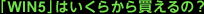 �uWIN5�v�͂����炩�甃����́H