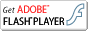 �ʃE�B���h�E�FAdobe Flash Player�_�E�����[�h