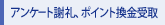 �A���P�[�g�ӗ�A�|�C���g�������
