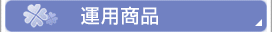 �^�p���i