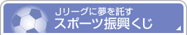 J���[�O�ɖ�������@�X�|�[�c�U������