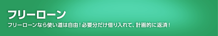 �t���[���[���@�t���[���[���Ȃ�g�����͎��R�I�K�v�������؂����āA�v��I�ɕԍρI