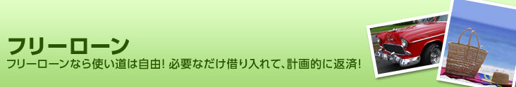 �t���[���[���@�t���[���[���Ȃ�g�����͎��R�I�@�K�v�������؂����āA�v��I�ɕԍρI