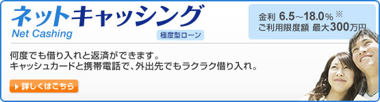 �l�b�g�L���b�V���O �ɓx�^���[�����x�ł��؂����ƕԍς��ł��܂��B�L���b�V���J�[�h�ƌg�ѓd�b�ŁA�O�o��ł����N���N�؂����B���� 6.5�`18.0���i���j�@�����p���x�z �ő�300���~ �ڂ����͂�����