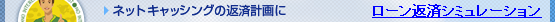 �l�b�g�L���b�V���O�̕ԍόv���