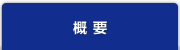 概要