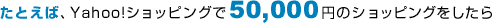 ���Ƃ��΁AYahoo!�V���b�s���O��50,000�~�̃V���b�s���O��������