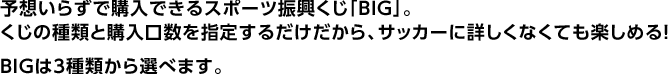 \z炸ōwłX|[cUuBIGvB̎ނƍww肷邾ATbJ[ɏڂȂĂy߂I@BIG3ނIׂ܂B