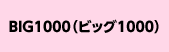 BIG1000irbO1000j