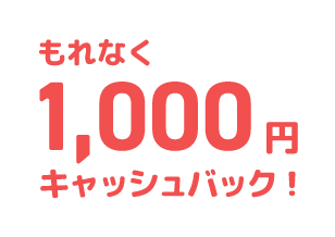 Ȃ1,000~LbVobNI